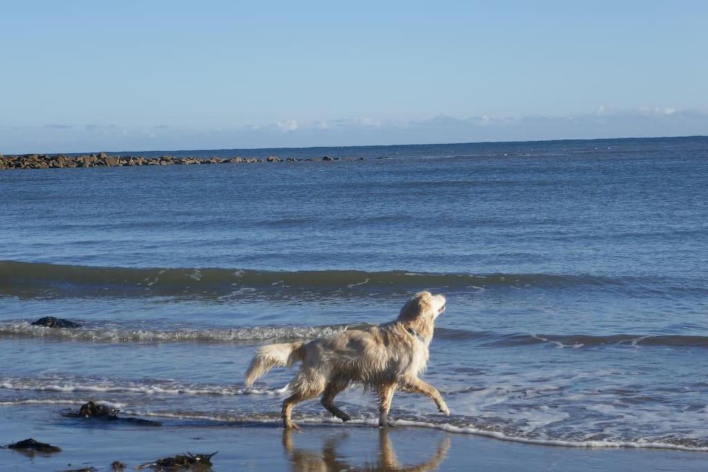 Holiday home Blacksmith's Barn - Cosy, Chilled & Dog Friendly. Wykeham (Scarborough)