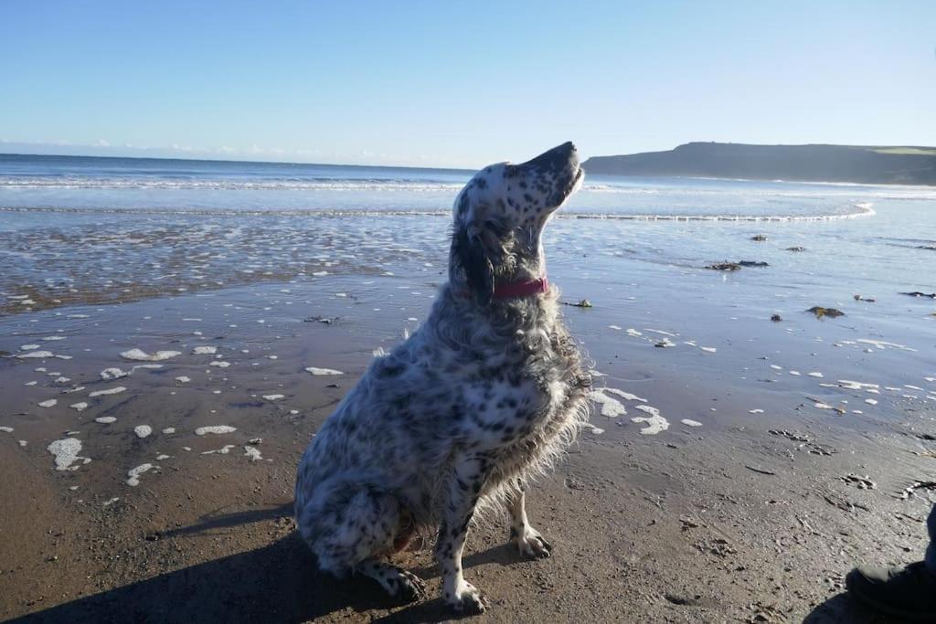 Blacksmith's Barn - Cosy, Chilled & Dog Friendly. Holiday home