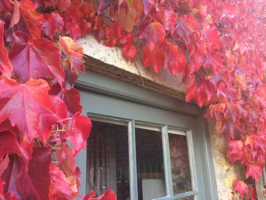 Holiday home Blacksmith's Barn - Cosy, Chilled & Dog Friendly. *